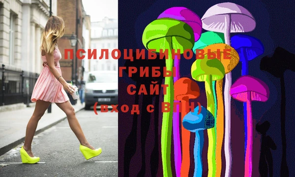 а пвп мука Абаза